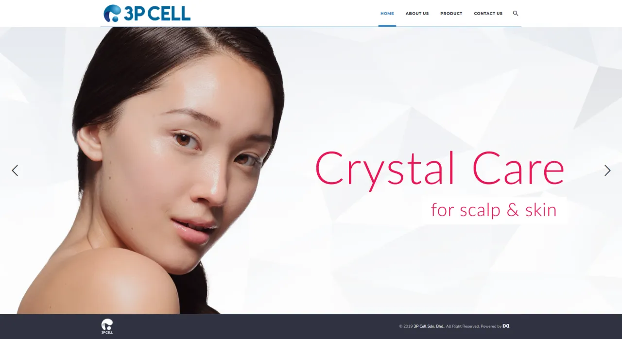 3P Cell website preview